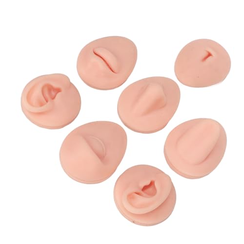 Modelo de partes del cuerpo de silicona lavable para demostraciones didácticas