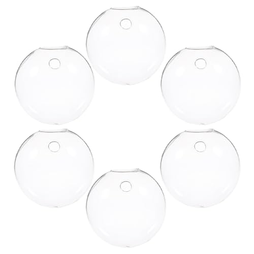 Vases hydroponiques suspendus en verre : la solution propre sans terreau pour vos plantes