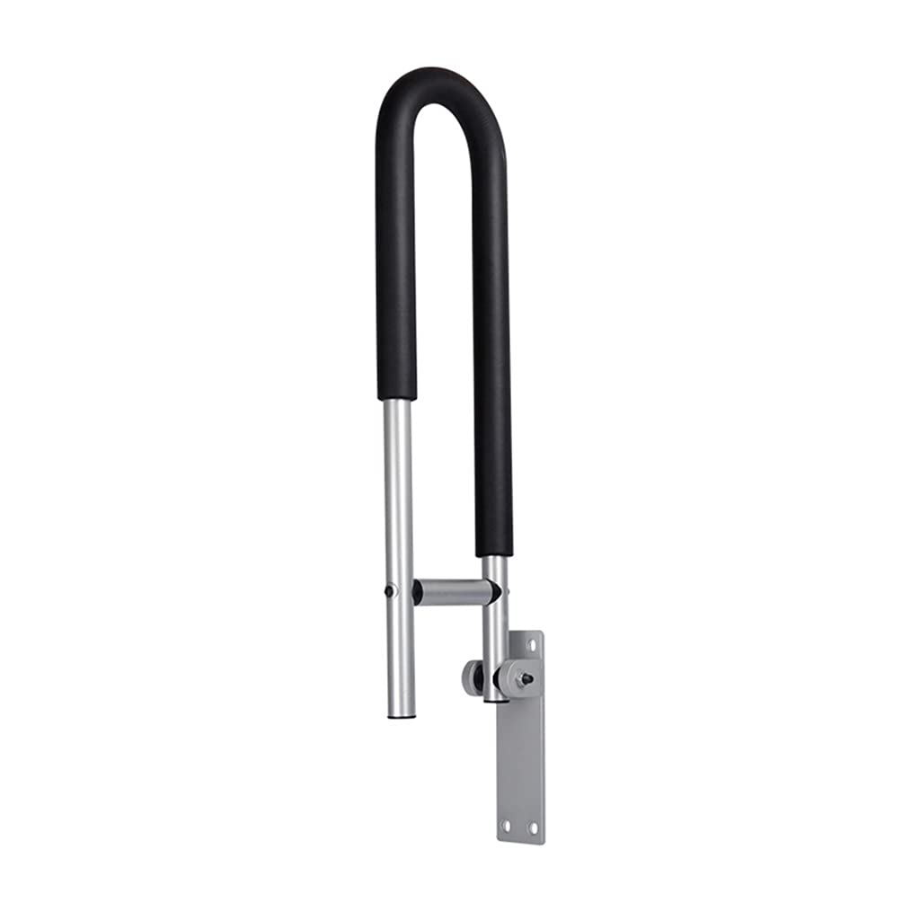 Barra de Agarre para baño Manija Abatible Atornillable Riel de Seguridad para Inodoro Agarre de Mano Salud en el hogar (Color : Silver) (Silver)