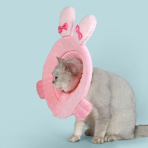 Collier de guérison pour blessures de chat lors du retour à la maison - 5