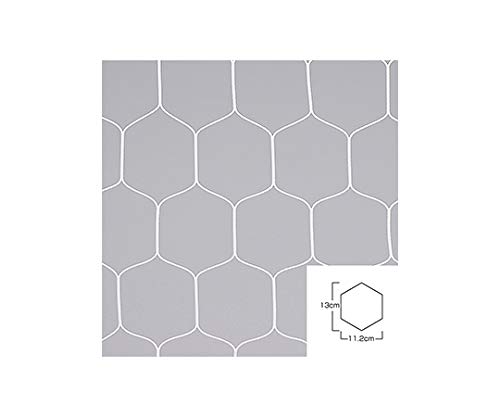 Amazon | エバニュー(EVERNEW) フットサルネット亀甲F106 白 EKD862