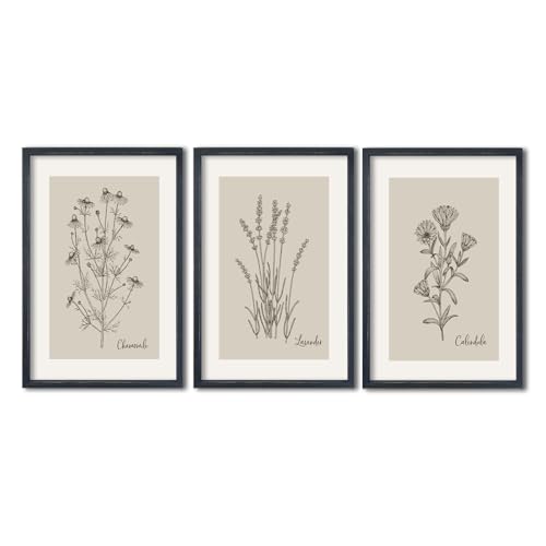 TQianJiang Set Of 3 Framed Vintage Botanical Prints Wall Art 16" 11" Wildflower Pictures Wall Decor for Bedroom Bathroom Living Room Minimalist Line Drawing Neutral Tones Wall Hanging (Black...