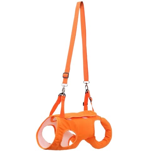 pT|[gXO | ㎈T|[g ^pJo[n[lX ptgxg - ʋCybgtgAVXgXO VsȌ̂߂̕s⏕ AEghAg[jOEs