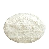 グラムスタイル ラグ 洗える 円形 95cm ラグマット 滑り止め付 抗菌 防臭 オールシーズン 床暖房対応 スノー