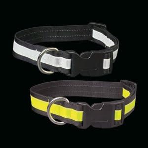 PETSAVERS Large Quick Release Lime Collar