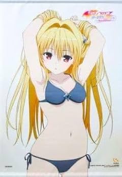 ToLOVEるダークネス　タペストリー　ポスター　予約限定品 Amazon.co.jp: toloveる ダークネス 金色の闇 B2タペストリー