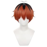 【フリーレン】コスプレウィッグ Amazon.co.jp: 葬送のフリーレン コスプレウィッグ フェルン