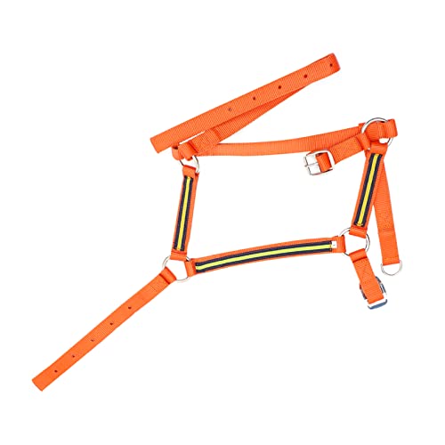 Mipcase Treino De Náilon Arnês Vermelho Cabeça Equestre Headstalls Prático Cabresto Queixo Freio Pro