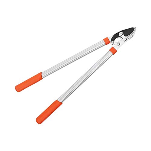 Cesoie da giardino estensibili portatili Troncarami a cricchetto Troncarami da giardino Taglierina da giardino Utensili per cesoie per rami Durevole Ergonomico antiscivolo Manico arancione
