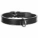 TRIXIE Active Halsband Leder Größe M: Halsumfang 39–46 cm/22 mm in schwarz - stilvolles Lederhalsband für mittelgroße Hunde, genäht und unterfüttert, 18251