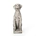 Christopher Knight Home Gomer Outdoor Dog Statue, Antique White