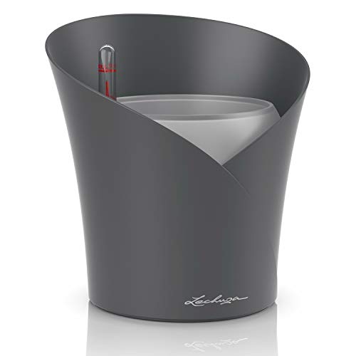 Lechuza ORCHIDEA Orchideenpflanzgefäß & Seramis Vitalnahrung für Orchideen, 200 ml – Düngemittel für optimales Wachstum von Orchideen, Flüssigdünger mit praktischer Dosierhilfe - Image 3