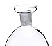 ELETON Planet Dish Soap Cruet,16-Ounce
