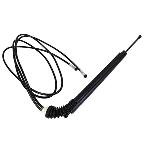 Vérin à gaz hayon électrique de coffre à levage fluide Cadillac SRX 11-13