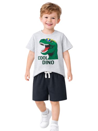 Image of HILEELANG Toddler Boy Summer Outfit Set 2 Piece Short Sleeve T Shirt and Short Soft Breathable Cotton Clothing Sets 2-7T