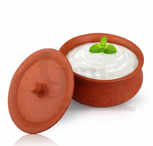 GAU VANSH Handmade 550 ml Clay Curd Pot with Lid | Earthen Terracotta Dahi Handi | Mud Yogurt Pot | Mitti Serving Bowl for Kitchen & Dining (550 ml) Approx.