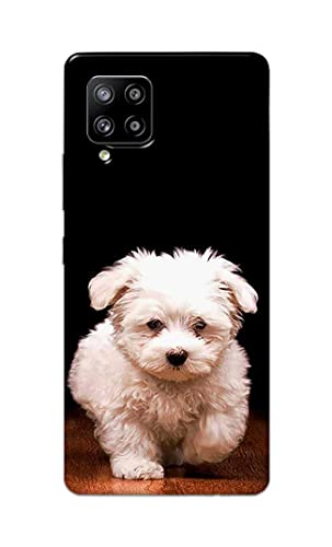 Image of PRINTFIDAA� Printed Hard Back Cover Case for Samsung Galaxy M42 5G | Samsung Galaxy A42 5G Back Cover (Puppy Dog) -2808