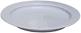 Providence Spillproof Inner Lip Plate - 9" White