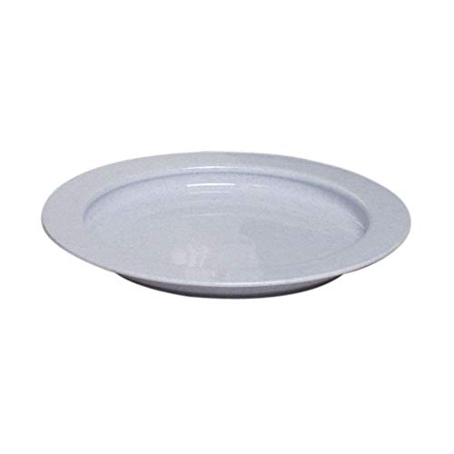 Best Dinner Plate For Elderly
