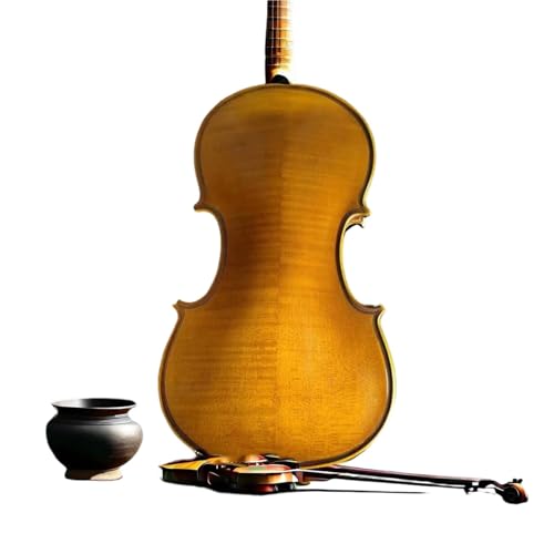 Violons faits à la main avec table épicéa dos érable et raccords ébène sous étui - 6