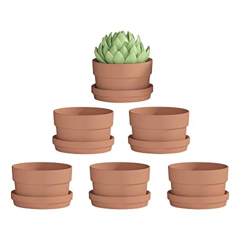 Fcacti 6 Pack 5 Inch Terracotta Shallow Succulent Pot - Terra Cotta Clay Pots with Saucer, Round Shallow Terra-Cotta Bonsai Pot with Drainage Hole for Indoor/Outdoor Plants Cover