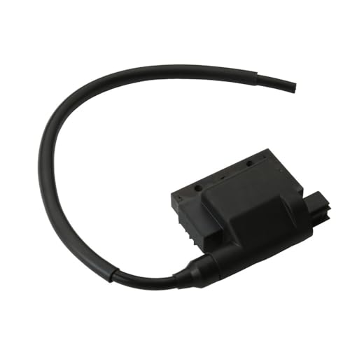 Bobine d'allumage 33410-02E30 compatible avec scooter AY50A 50
