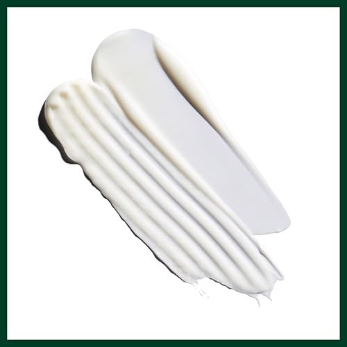 Aveda Nutriplenish Shampoo Light Moisture | Superfood Shampoo for Dry Hair | Organic Pomegranate Oil, Coconut Oil, Mango Butter | 94% Naturally Derived*