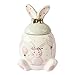 Słoik na cukierki Śliczny króliczek Dekorowanie słoika na cukierki Ceramiczne słoiki na cukierki z pokrywkami Słoik do przechowywania w kuchni Home Decor