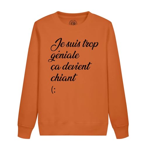 Sweatshirt enfant Je suis trop géniale vêtement complice pour rire en famille