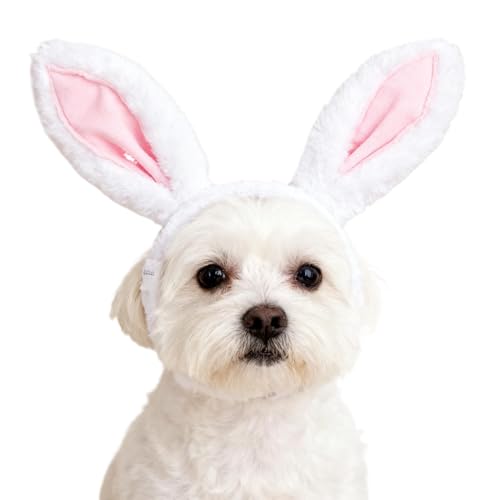 Disfraz Orejas de Conejo para Perro Talla S miniatura 4