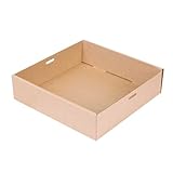 100 Stück - Catering Boxen S 375 G/M2 22,5 x 22,5 x 6 cm Natural Kraft