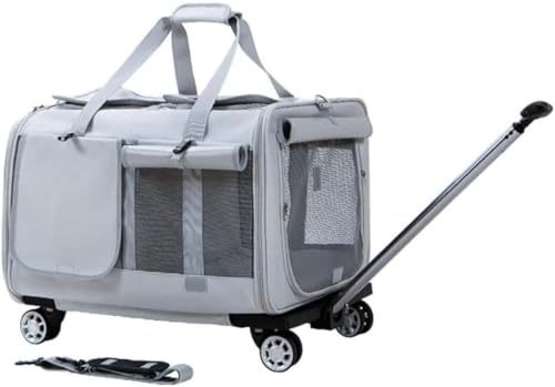 MaryseaL[P[X L 2Cp jo[TzC[Aʉ@ ЊQp ʋCAeʁAybgL[ ybgL[ LX^[t s ԍ LsO (CgO[)