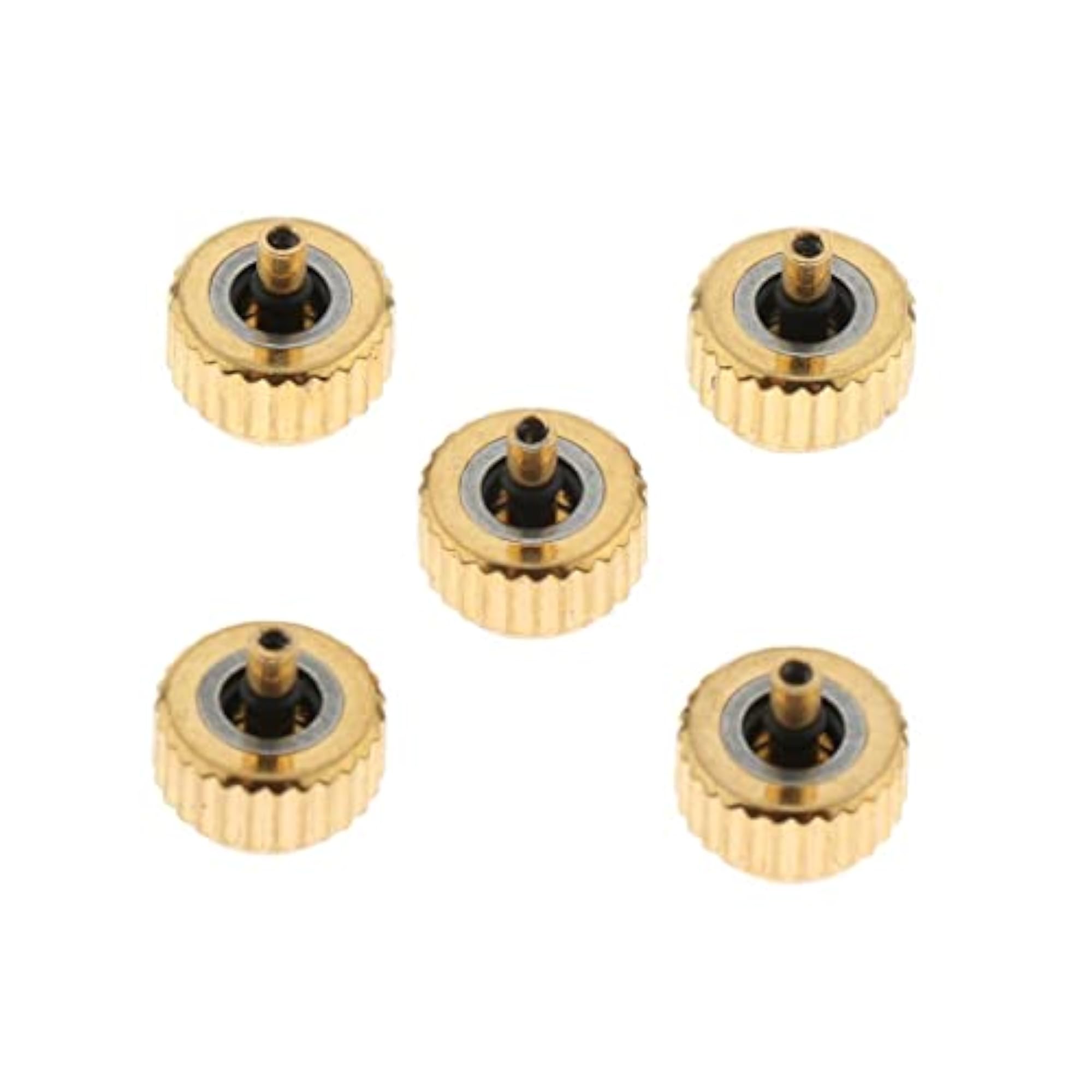 5PCS Steel Watch Crown Replacement Set