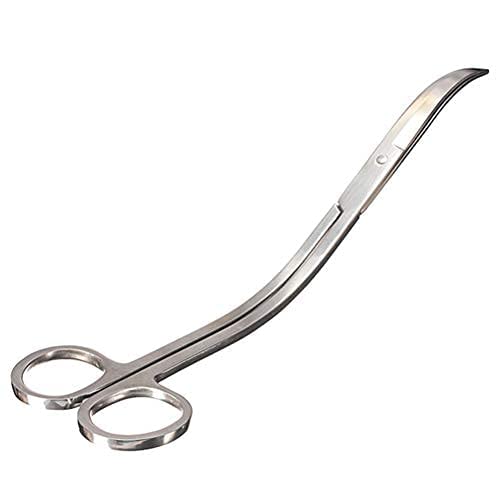 Aquascaping Kit per acquari, forbici in acciaio inox, punta curva, per acquari, serbatoi, piante, forbici