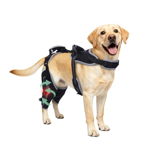 Image of Dog Knee Brace for Torn ACL Hind Leg & Luxating Patella, Multi-Functional Adjustable Rear Leg Braces for Dogs, Pain Relief, Post-Surgery Recovery, L