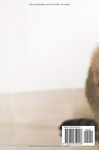 Miniatura 2 de Diario de mi gato Diario de gatos Cuaderno de gatos 127 páginas 6x9 pulgadas Regalo para los chicos y chicas amantes de los gatos mundo felino