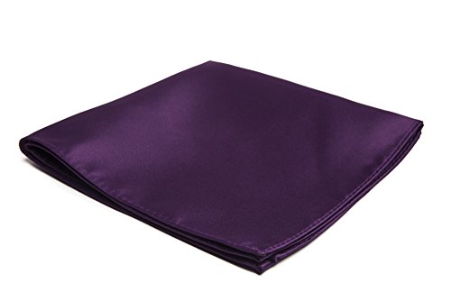 Jacob Alexander Men's Pocket Square Solid Color Handkerchief - Eggplant