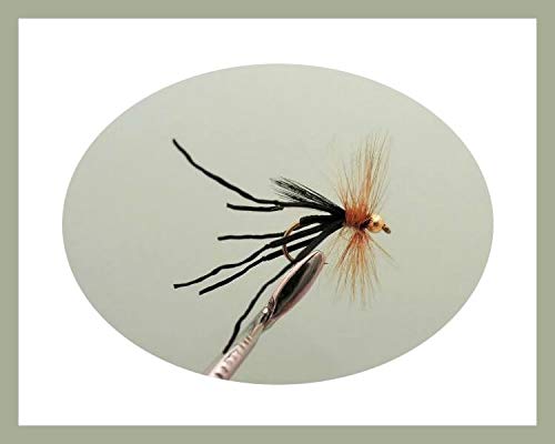 Daddy Lot de 40 Mouches à la Truite avec différents Motifs de pêche NBX22