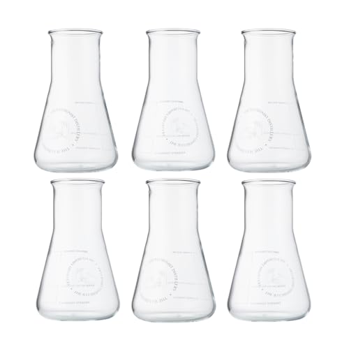 The Illusionist Dry Gin Glas | Gin & Tonic Glas 6er Set | Premium Erlenmeyerkolben | Perfect Serve | 250ml