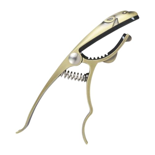 DeeRace qE^M^[J| XvOJ| pIA|[^uŃvtFbViȑϋvAȃM^[ANZT[A, 