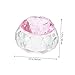 Ipetboom Nail Art Crystal Mixing Cup with Lid Dappen Dish for Liquid Powder Portable Nail Art Tool for Professionals and Home Use for Mixing and Powder