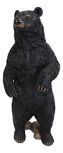 Ebros Realistic Rustic Forest Standing Black Bear Statue 12.25' Tall Wildlife Animal Bears Western Cabin Lodge Decor Figurine As Garden Patio and Home Accent Centerpiece