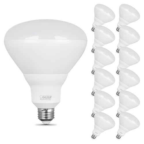 Feit Electric BR40 LED Light Bulbs, 65W Equivalent, Dimmable, E26 Medium Base, 850 Lumens, 2700K Soft White, 120V, 90 CRI, 22.8 Years Lifetime, Frosted Bulbs, Damp Rated, 12 Pack, BR40DM/927CA/2/6