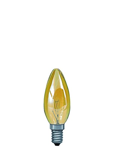 Preisvergleich Produktbild Paulmann Kerzenlampe 40W E14 Gold