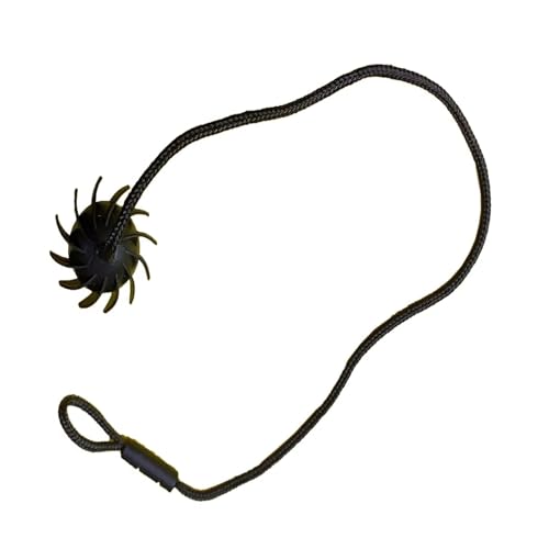Sangle de coffre et barres de toit pour sécuriser vos trajets en Arkana ou Twingo