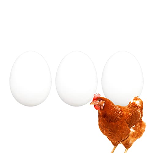 FINCA CASAREJO Oeuf Faux Masse Poule Cover