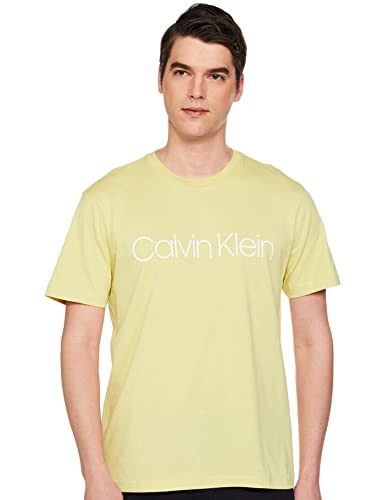 Image of Calvin Klein Men's Logo Regular Fit T-Shirt