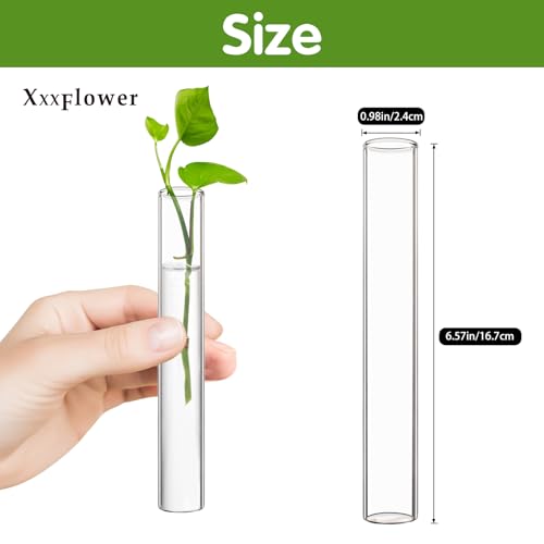 XXXFLOWER Glass Propagation Stations Accessories Glass Test Tubes Tiers Planters Wall Terrarium for Home Office Plant Hanger Flower Vases Wall Decor Hydroponic Cuttings Clear-4 Tube Vases