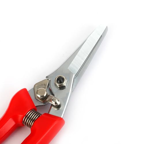 Aparadores de casco premium com mini lixa de casco (20 cm) - cortador de unhas para cabras ovelhas,