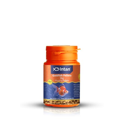 Image of Intan Goldfish Pellets Fish Food | Big Floating Pellets for Fish | Daily Nutrition Fish Feed for Health & Growth | Mini Pack 27 Gm Each, Pellet Size - 2.5 mm Dia, Pack of 2,All Life Stages